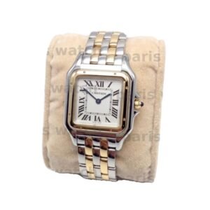 Panthère de Cartier. W2PN0007